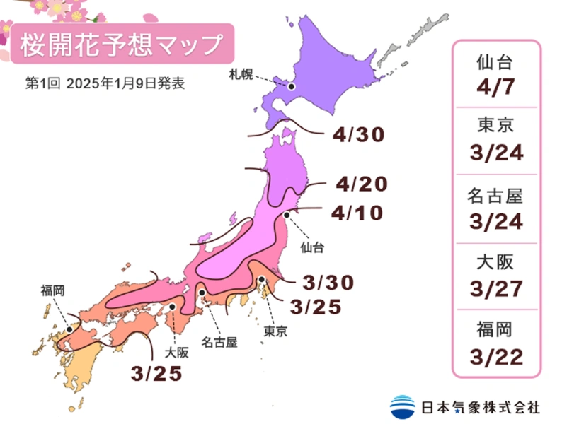 2025 日本櫻花