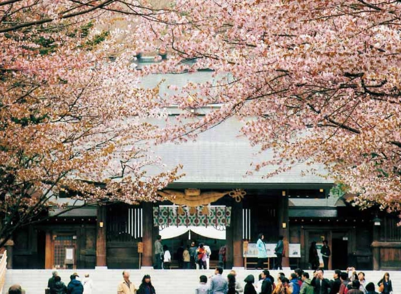 日本櫻花景點:北海道