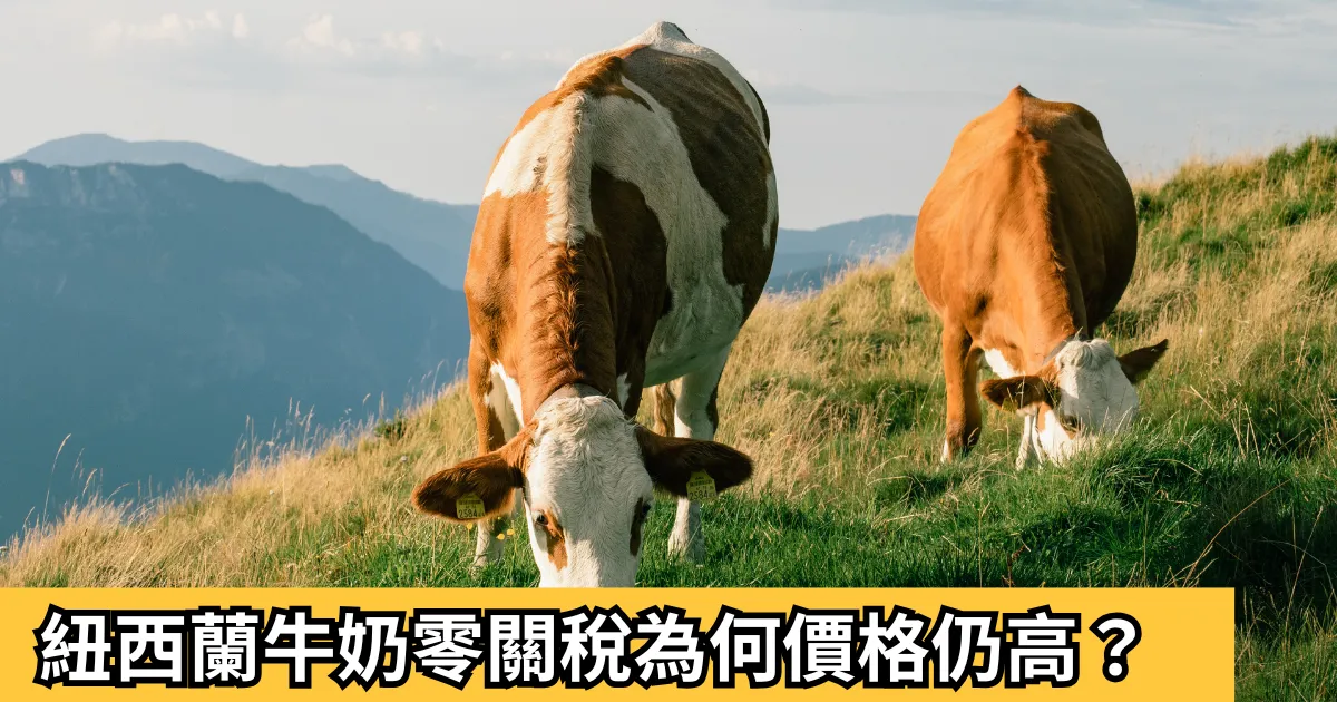 紐西蘭牛奶零關稅為何價格仍高？帶你看懂價格、成本與市場爭議