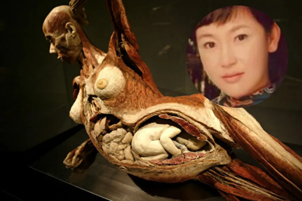 人體奧妙展(Real Bodies)一具 懷孕女性標本被懷疑正是1998 年神秘失蹤的薄熙來小三/美女主播張偉傑