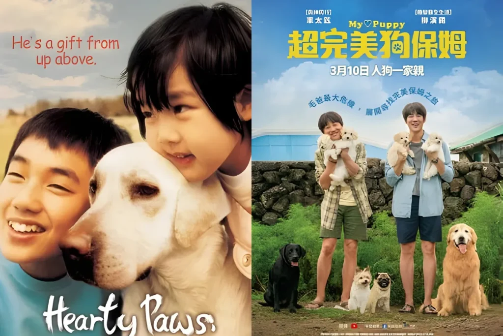 狗狗電影推薦韓國