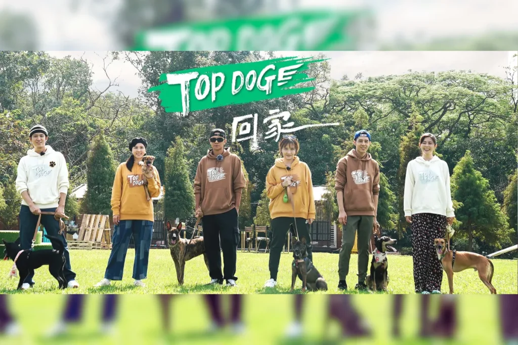狗狗電影推薦台灣
