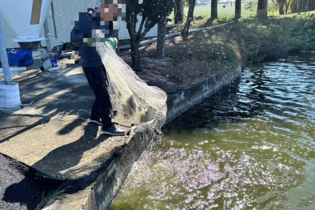 雲林縣政府循線追查上游養殖場並沒有發現恩氟喹啉羧酸