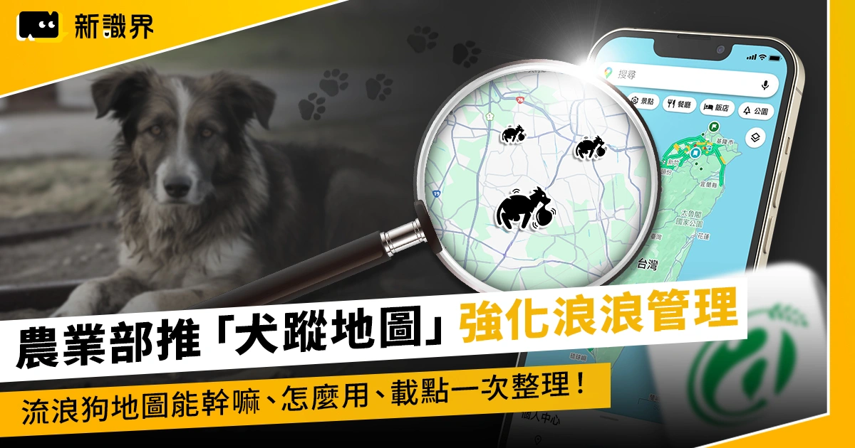 農業部推「犬蹤地圖」強化浪浪管理，流浪狗地圖能幹嘛、怎麼用、載點一次整理！