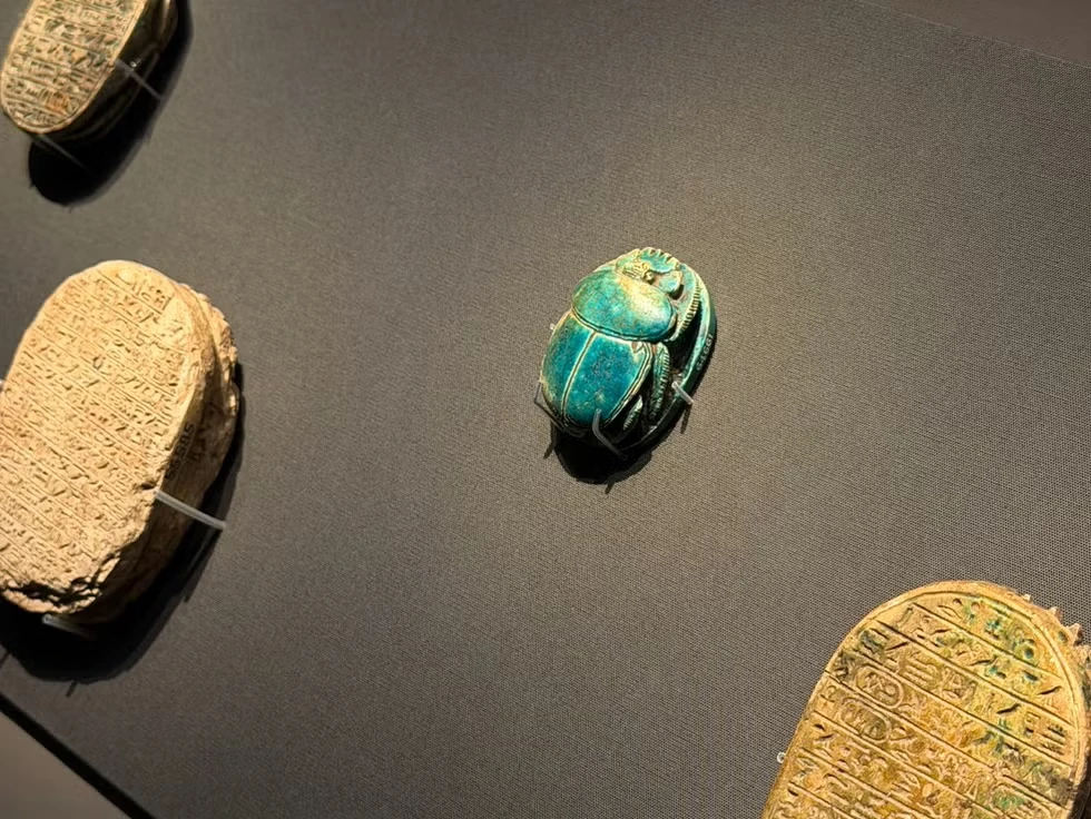 台南奇美博物館《埃及之王：法老》文物：阿蒙霍特普三世聖甲蟲