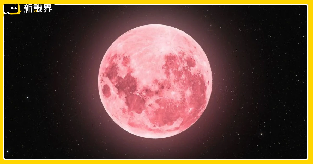 2026「粉紅月亮」4/2登場！最靈許願方法、觀測時間、拍照技巧