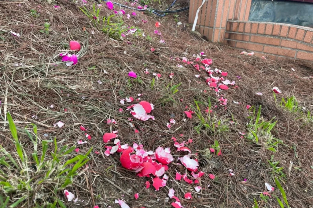 清明節習俗活動