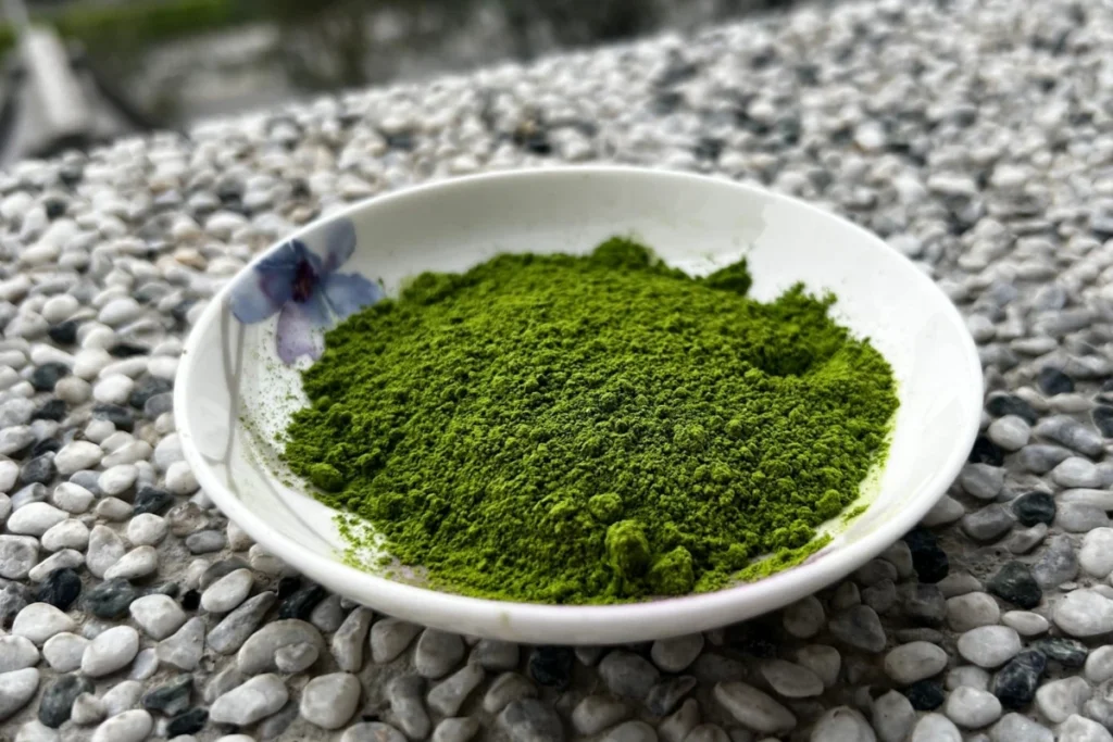 台灣清明節習俗台中清水吃滸苔潤餅