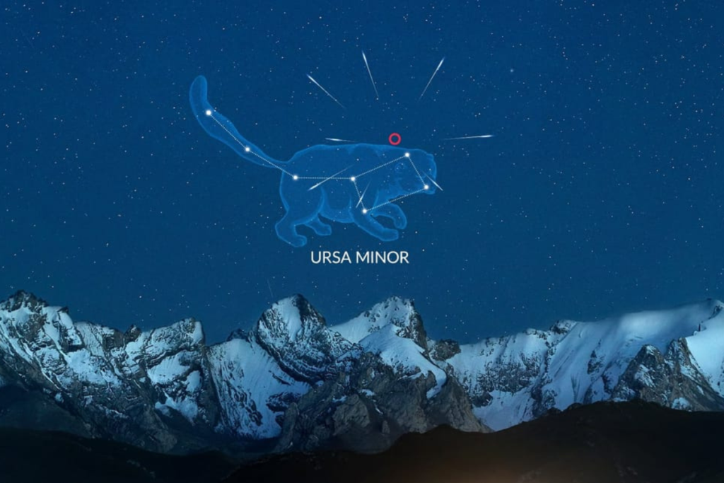 2026 流星雨:小熊座流星雨