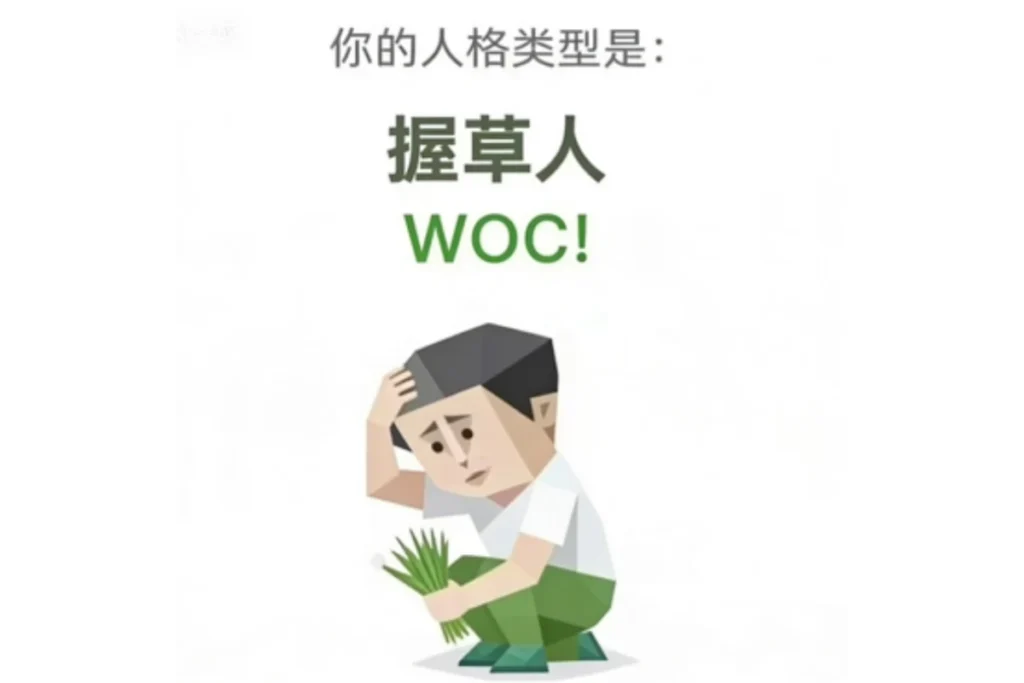 SBTI 握草人(WOC!)
