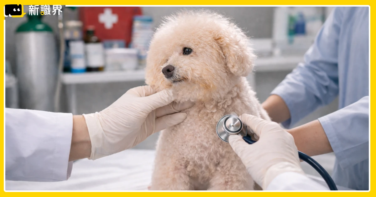 寵物用藥新制懶人包：7月上路，連署暴增，獸醫示警急救風險升高