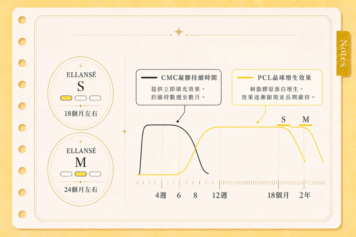Ellansé洢蓮絲-少女針