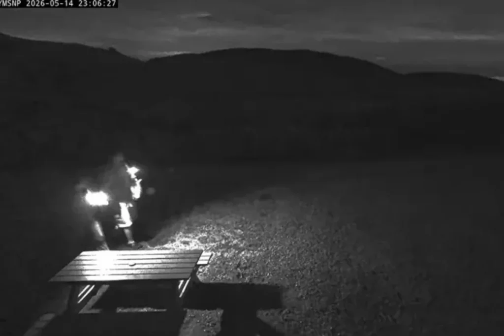 5/14 半夜一對情侶走入擎天崗監視器畫面，隨後鏡開啟野戰場面