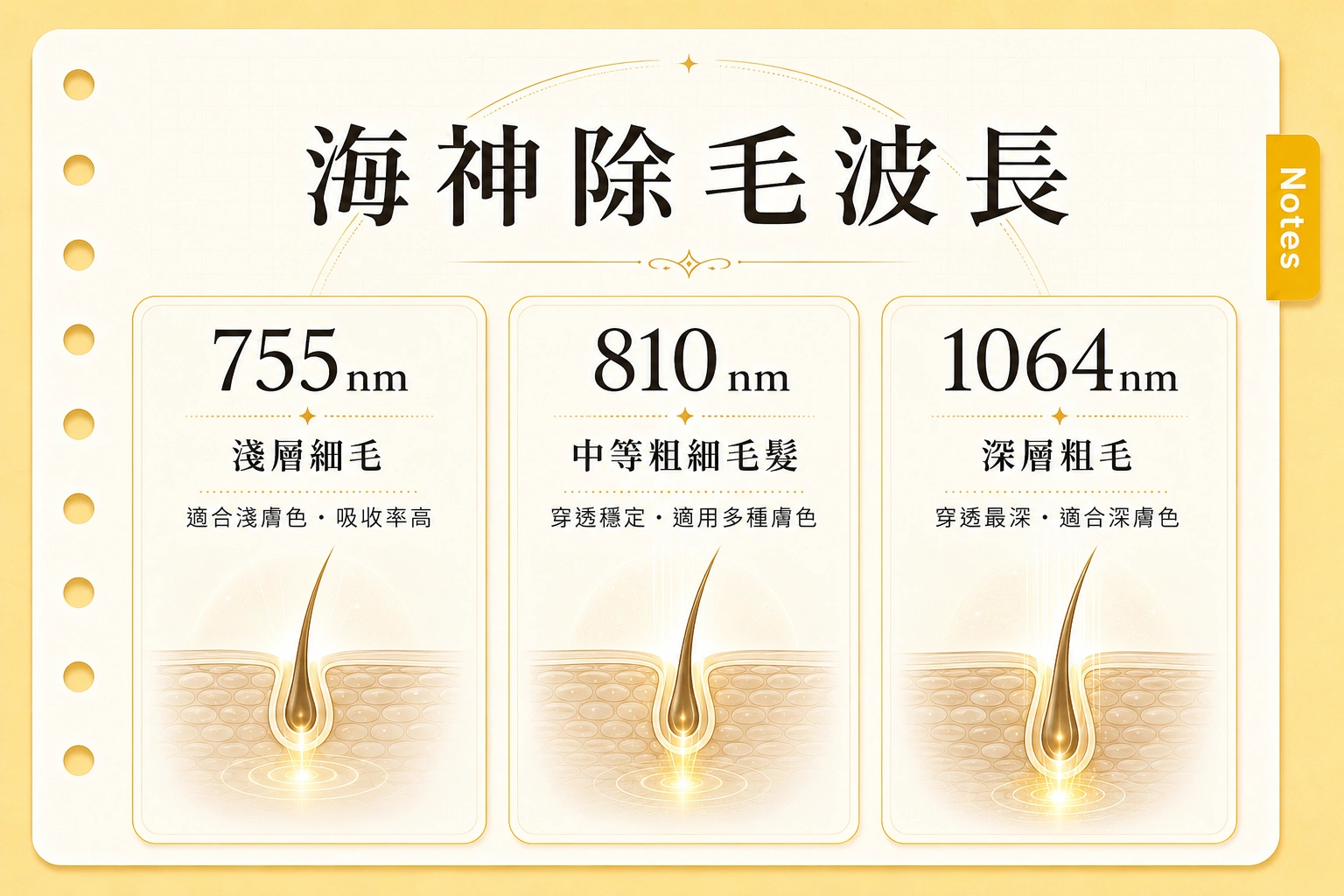 海神除毛