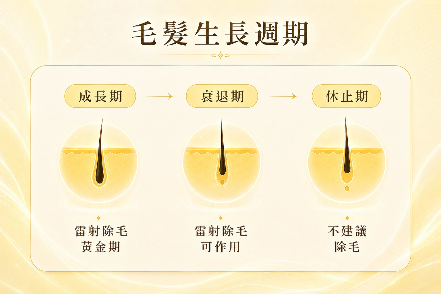 海神除毛