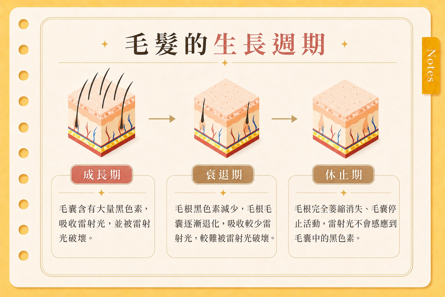 私密處除毛