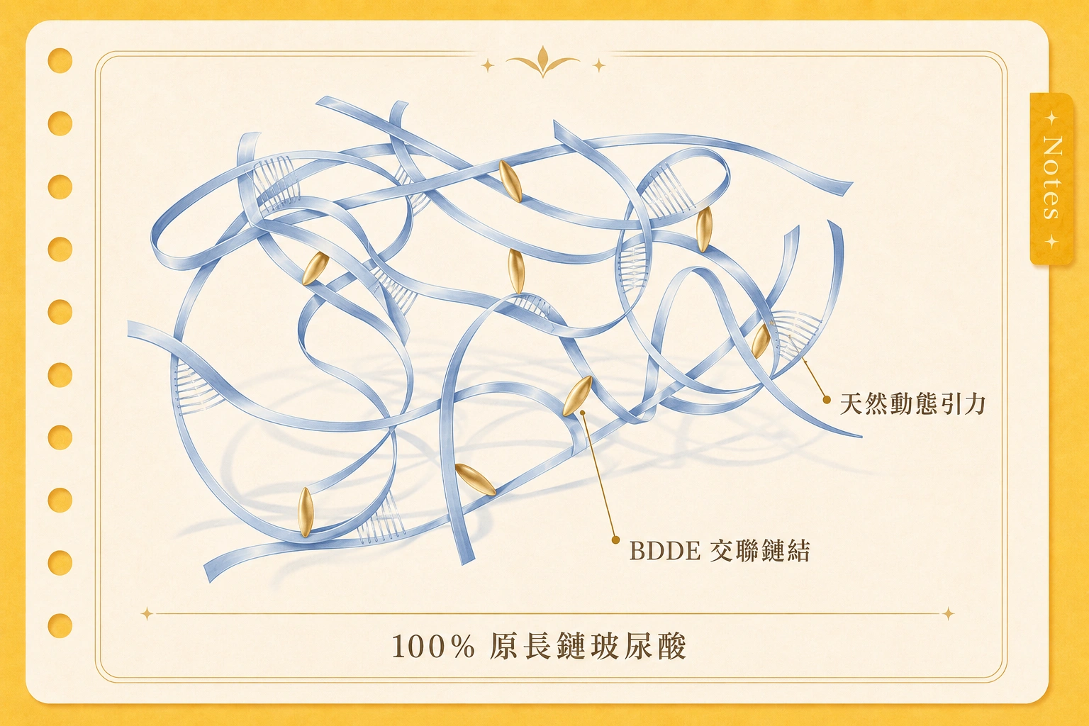 緹奧希玻尿酸