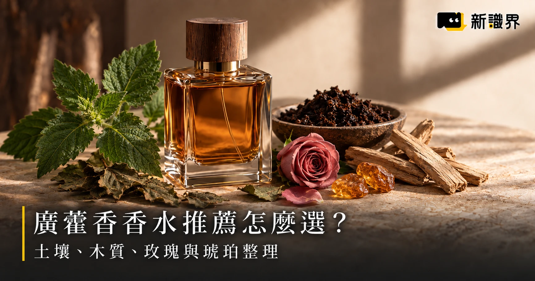 廣藿香香水推薦怎麼選?土壤、木質、玫瑰與琥珀整理