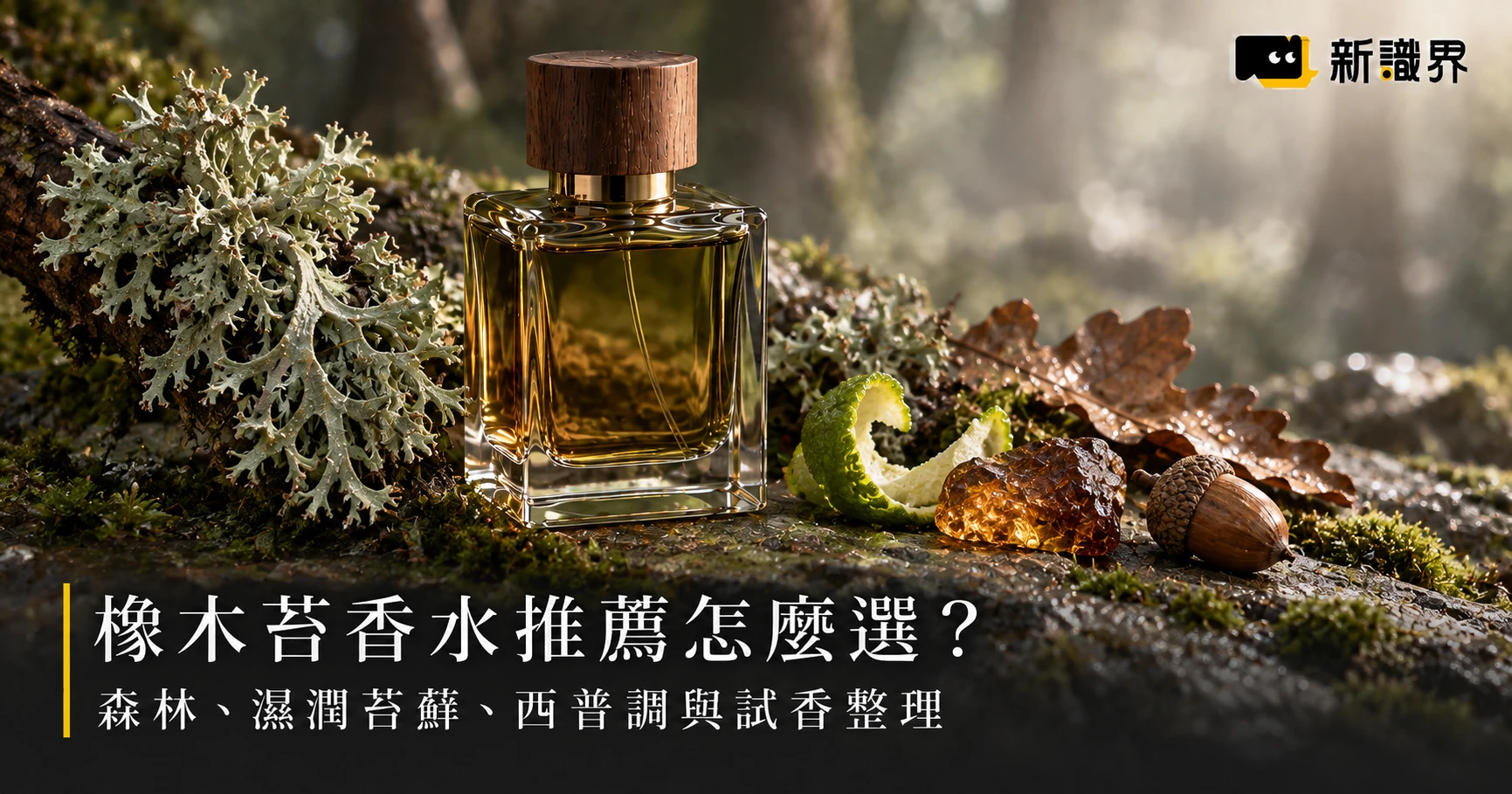 橡木苔香水推薦怎麼選？森林、濕潤苔蘚、西普調與試香整理